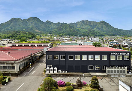 group_01.jpg group_01.jpg